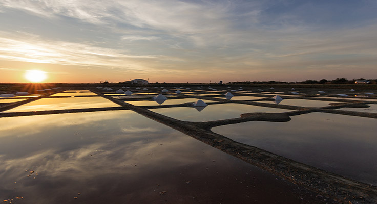 Marais salants