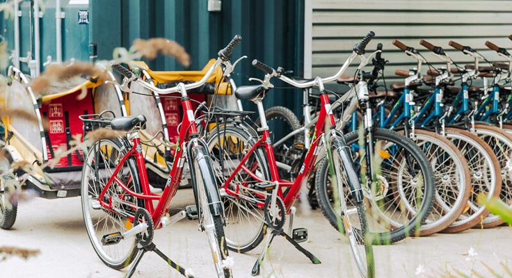 Location de v&eacute;los en Vend&eacute;e